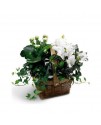 White Assortment Basket White Assortment Basket